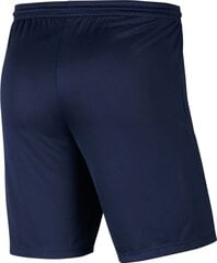 Шорты мужские Nike BV6855 410, синие цена и информация | Мужские шорты | pigu.lt