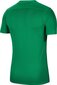 Marškinėliai vyrams Nike, žalia цена и информация | Vyriški marškinėliai | pigu.lt
