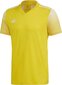 Vyriški marškinėliai adidas Regista 20 Jersey geltona FI4556 kaina ir informacija | Futbolo apranga ir kitos prekės | pigu.lt