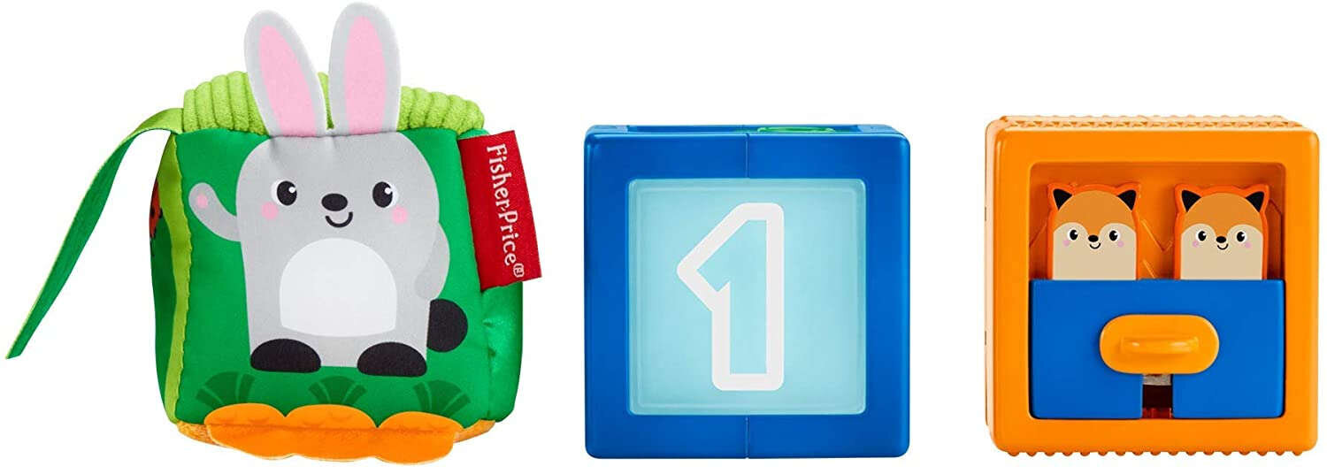 Spalvotų gyvūnų kaladėlių rinkinys Fisher-Price kaina ir informacija | Žaislai kūdikiams | pigu.lt