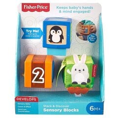 Набор разноцветных кубиков с животными Fisher-Price цена и информация | Игрушки для малышей | pigu.lt