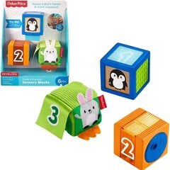 Набор разноцветных кубиков с животными Fisher-Price цена и информация | Игрушки для малышей | pigu.lt