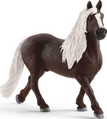 Фигурка Лошадь Шварцвальд, Schleich 361347 цена и информация | Игрушки для девочек | pigu.lt