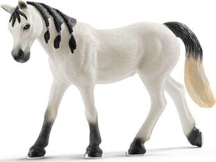 Figūrėlė Arabų kumelė Schleich Horse Club kaina ir informacija | Žaislai mergaitėms | pigu.lt