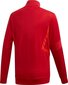 Džemperis Adidas Tiro 19 Training JKT Jr D95922, raudonas kaina ir informacija | Futbolo apranga ir kitos prekės | pigu.lt
