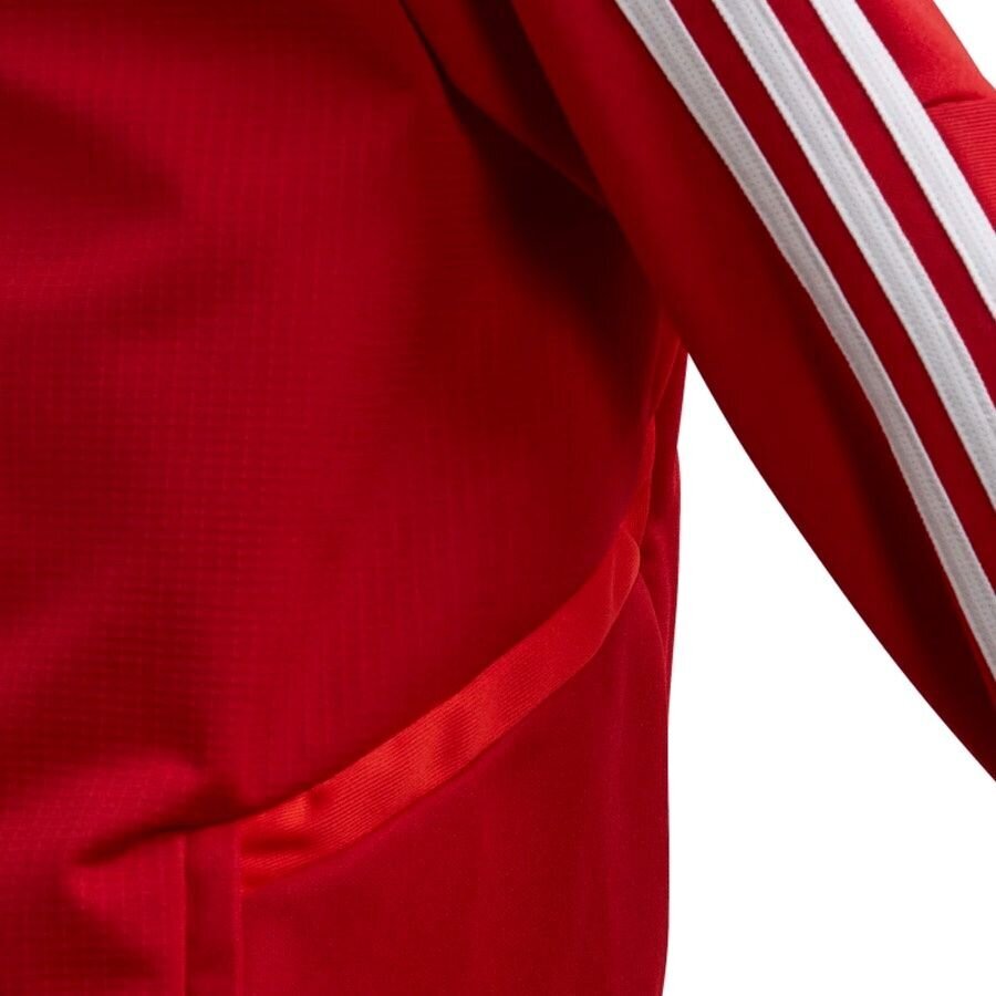 Džemperis Adidas Tiro 19 Training JKT Jr D95922, raudonas kaina ir informacija | Futbolo apranga ir kitos prekės | pigu.lt