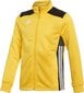 Džemperis Adidas Regista 18 PES Jr CZ8630, geltonas kaina ir informacija | Futbolo apranga ir kitos prekės | pigu.lt
