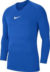 Megztinis Nike JR Dry Park, mėlynas kaina ir informacija | Futbolo apranga ir kitos prekės | pigu.lt