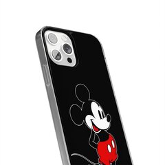 Disney skirtas Apple Iphone 11, įvairių spalvų kaina ir informacija | Disney Mobilieji telefonai, Foto ir Video | pigu.lt