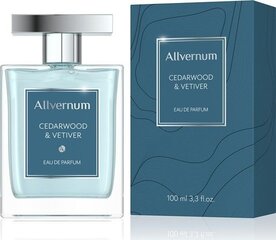 Kvapusis vanduo Allverne Cedarwood & Vetiver EDP 100 ml kaina ir informacija | Kvepalai vyrams | pigu.lt