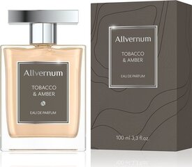 Парфюмированная вода для мужчин Allverne Tobacco & Amber EDP, 100 мл цена и информация | Мужские духи | pigu.lt