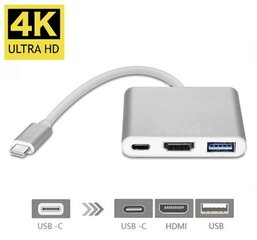 RoGer RO-AD1 (3 in 1) USB-C Multiport Adapter / USB 3.0 / HDMI / USB-C / Silver kaina ir informacija | Adapteriai, USB šakotuvai | pigu.lt