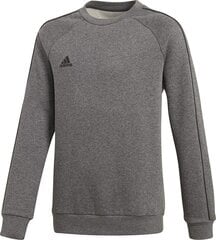 Vaikiškas džemperis Adidas Core 18 CV3969, pilkas kaina ir informacija | Megztiniai, bluzonai, švarkai berniukams | pigu.lt