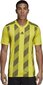 Futbolo marškinėliai Adidas Striped 19 Jsy, geltoni цена и информация | Futbolo apranga ir kitos prekės | pigu.lt