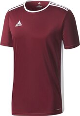 Мужская футболка Adidas Entrada 18 Джерси CD8430, бордовый цена и информация | Футбольная форма и другие товары | pigu.lt