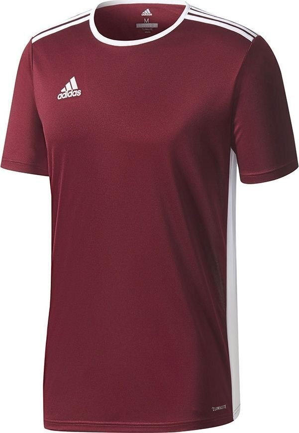 Vyriški marškinėliai Adidas Entrada 18 Jersey CD8430, bordo цена и информация | Futbolo apranga ir kitos prekės | pigu.lt