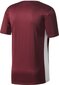 Vyriški marškinėliai Adidas Entrada 18 Jersey CD8430, bordo цена и информация | Futbolo apranga ir kitos prekės | pigu.lt