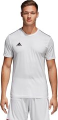 Мужская футболка Adidas белая цена и информация | Футбольная форма и другие товары | pigu.lt