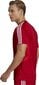 Futbolo marškinėliai Adidas Koszulka Tiro 19, raudoni kaina ir informacija | Futbolo apranga ir kitos prekės | pigu.lt