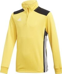 Детская рубашка adidas Regista 18 Junior DJ1841, желтый цена и информация | Футбольная форма и другие товары | pigu.lt