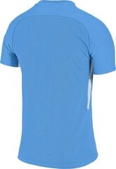 Marškinėliai Nike Jersey, mėlyni kaina ir informacija | Futbolo apranga ir kitos prekės | pigu.lt