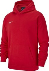 Džemperis belniukams Nike Team Club 19 AJ1544 657, raudonas kaina ir informacija | Megztiniai, bluzonai, švarkai berniukams | pigu.lt