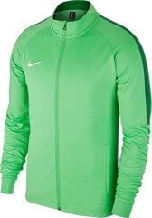 Sportinis džemperis vyrams Nike, žalias kaina ir informacija | Sportinė apranga vyrams | pigu.lt