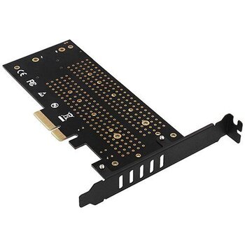 Axagon PCEM2-D PCIe-3.0-Adapter, 1x M.2-NVMe, 1x M.2-SATA, to 22110 цена и информация | Контроллеры | pigu.lt