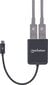 Adapteris šakotuvas Manhattan USB-C į 2X DisplayPort MST 4K HUB kaina ir informacija | Adapteriai, USB šakotuvai | pigu.lt