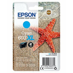 Epson C13T03A24020 цена и информация | Картриджи для струйных принтеров | pigu.lt