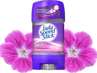 Gelinis antiperspirantas Lady Speed Stick Breath of Freshness 65g kaina ir informacija | Dezodorantai | pigu.lt