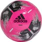 Futbolo kamuolys Adidas, 5 dydis kaina ir informacija | Futbolo kamuoliai | pigu.lt