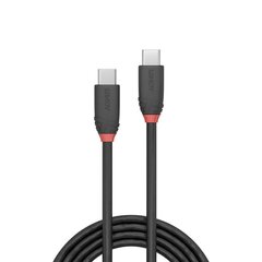 Кабель Lindy USB3.2 C-C 36905, 0.5 м, черный цена и информация | Кабели для телефонов | pigu.lt