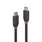 CABLE USB3.2 C-C 0.5M/BLACK 36905 LINDY цена и информация | Laidai telefonams | pigu.lt