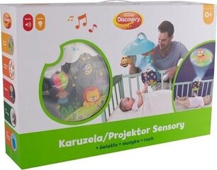 Vaikiška karuselė Dumel Discovery kaina ir informacija | Žaislai kūdikiams | pigu.lt