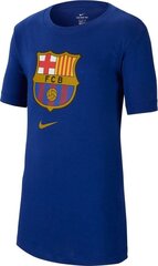 Nike мужская футболка FC Barcelona M NK Tee Evergreen Crest CD3115 455, синяя цена и информация | Мужские футболки | pigu.lt