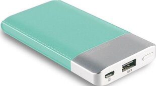 Realpower PB-4000, 4000 mAh kaina ir informacija | Atsarginiai maitinimo šaltiniai (power bank) | pigu.lt