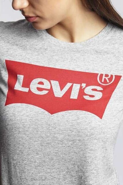 Marškinėliai moterims Levi`s 0263, pilki цена и информация | Marškinėliai moterims | pigu.lt