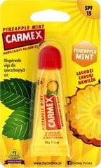 Apsauginis lūpų balzamas Carmex Pineapple Mint, 10 g kaina ir informacija | Lūpų dažai, blizgiai, balzamai, vazelinai | pigu.lt