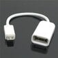 Adapteris OGT USB/micro USB kaina ir informacija | Adapteriai, USB šakotuvai | pigu.lt