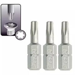 Atsuktuvo antgaliai Torx T40x25mm, 3vnt. цена и информация | Механические инструменты | pigu.lt