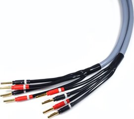 Kabel Melodika Banan x4 - Banan x4 4m szary kaina ir informacija | Kabeliai ir laidai | pigu.lt