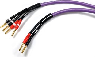 Kabel Melodika Banan x2 - Banan x4 2.5m fioletowy цена и информация | Кабели и провода | pigu.lt