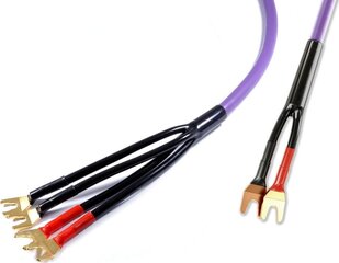 Melodika 2 х 4 мм2, 2.5 м цена и информация | Кабели и провода | pigu.lt