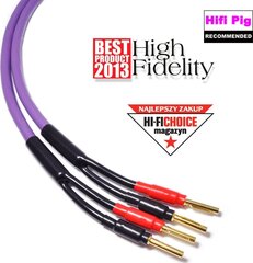 Kabel Melodika Banan x2 - Banan x2 3.5m fioletowy цена и информация | Кабели и провода | pigu.lt