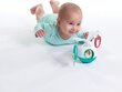 Lavinamasis žaislas kūdikiui kaina ir informacija | Žaislai kūdikiams | pigu.lt