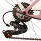 Miesto dviratis Goetze Mood 28", rožinis kaina ir informacija | Dviračiai | pigu.lt
