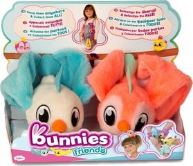 Žaislas Tm Toys Bunnies Friends 2vnt., BUN097223/97834 kaina ir informacija | Žaislai kūdikiams | pigu.lt