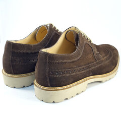 Кожаные мужские туфли (броги) цена и информация | Мужские кроссовки | pigu.lt