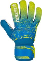 Вратарские перчатки Reusch Fit, синие цена и информация | Перчатки вратаря | pigu.lt